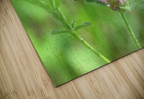 Monarch Yvonne Rudiger puzzle