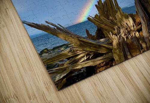 Rainbow Drift Yvonne Rudiger puzzle