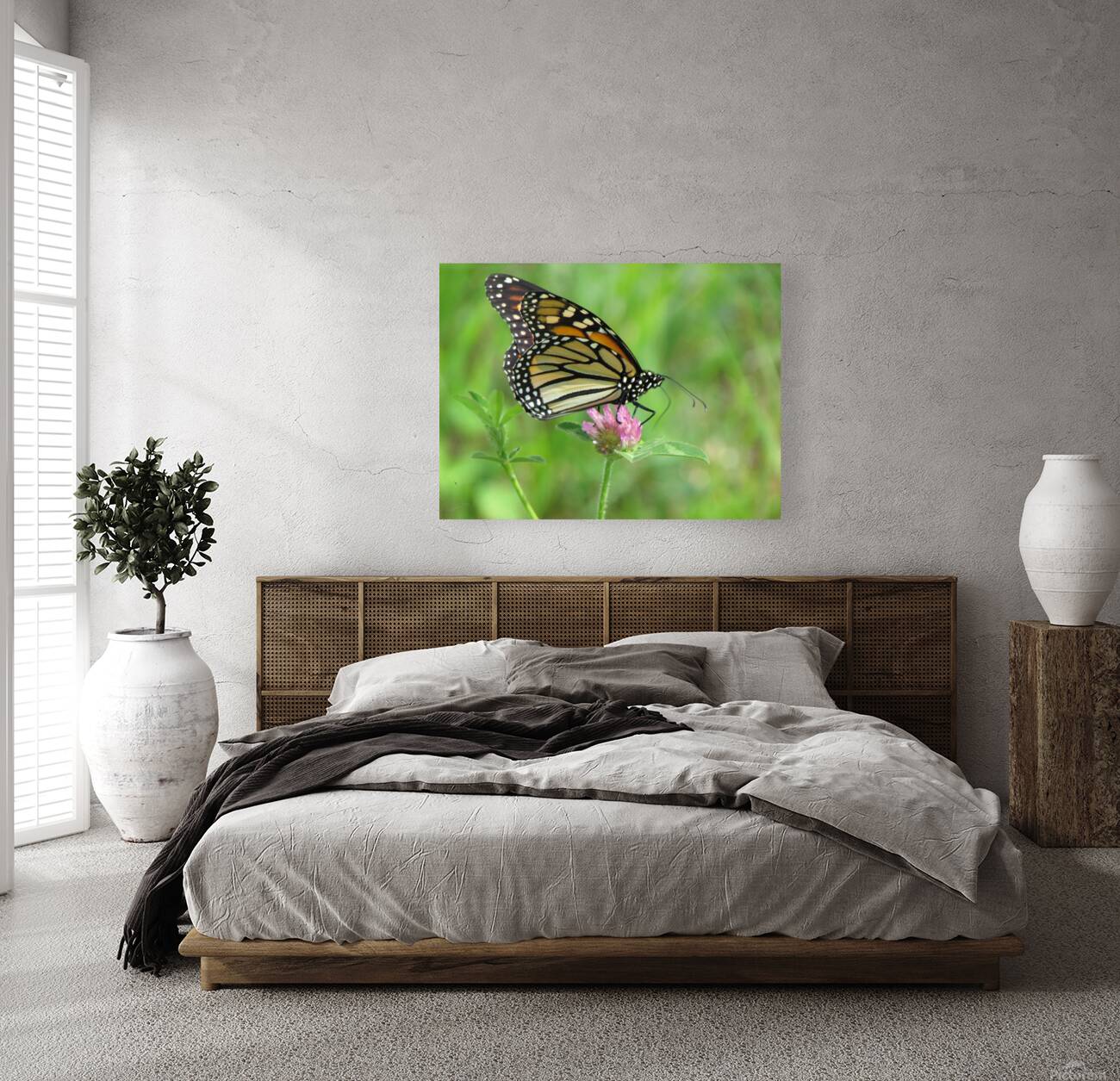 Monarch Reproduction