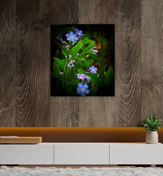 Forget Me Not Reproduction