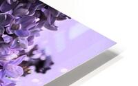 Swallow Tail HD Metal print