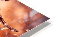 When Winter Lets Go HD Metal print