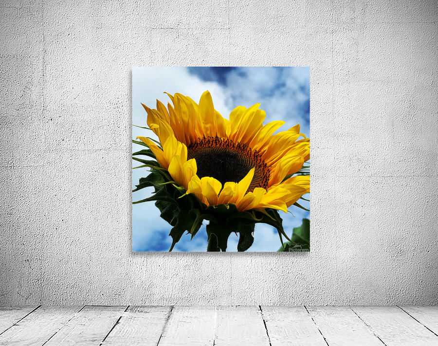 Sunflower Wall Preview