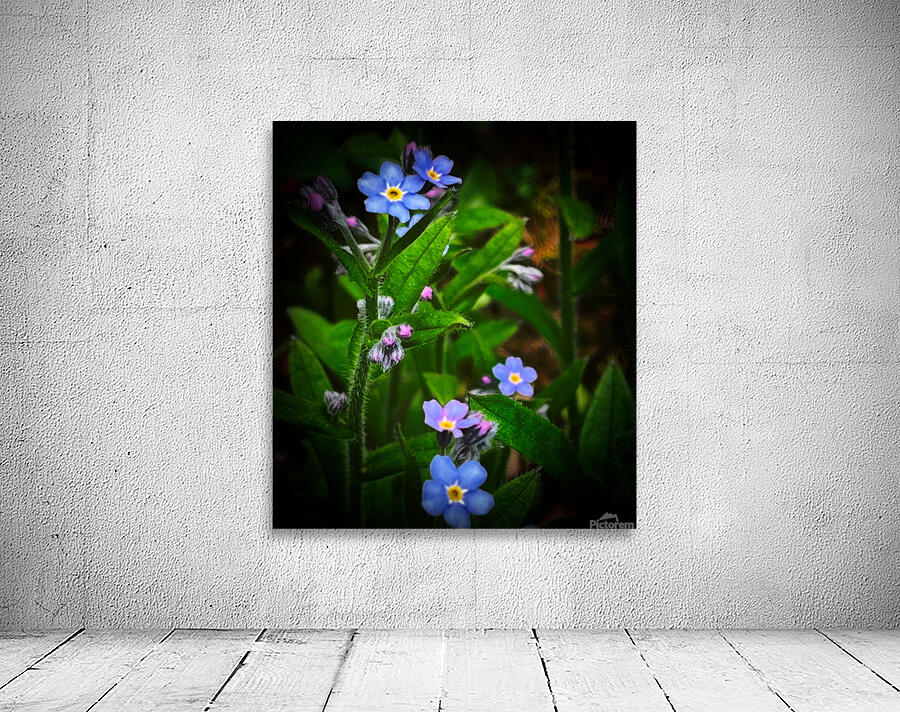 Forget Me Not Wall Preview
