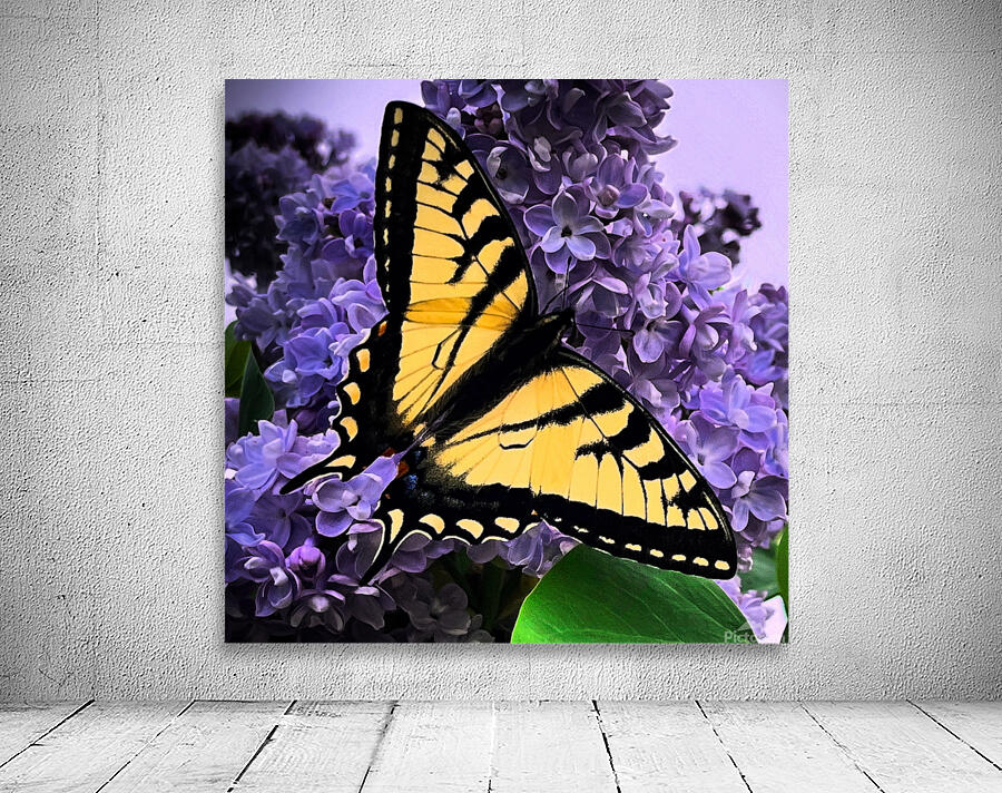 Swallow Tail Wall Preview
