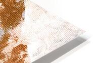 rosegold 1  HD Metal print