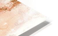 rosegold 2 HD Metal print