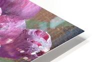 Pink roses  HD Metal print