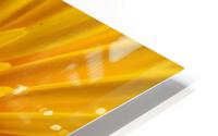 Goodbye Sunflower  HD Metal print