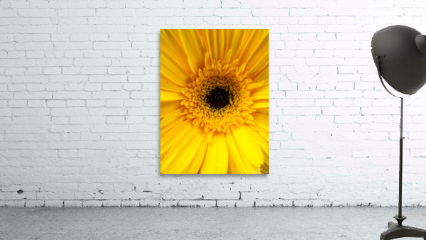 Goodbye Sunflower  Wall Preview