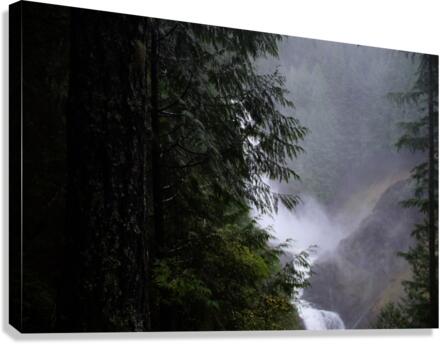 waterfall dreams Canvas Print