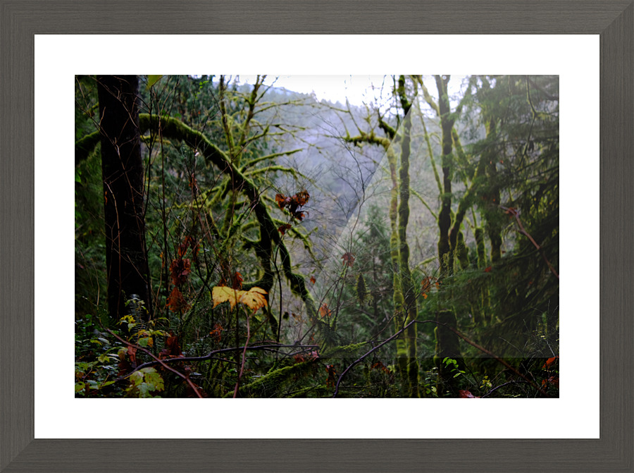 adventure ahead Picture Frame print