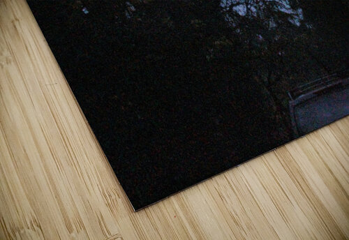 dreary drive  birdey photography puzzle