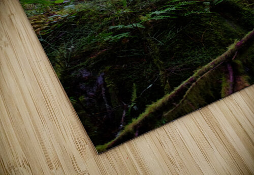 great forest beyond  birdey photography puzzle
