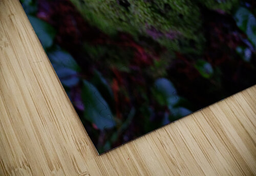 mossy times birdey photography puzzle