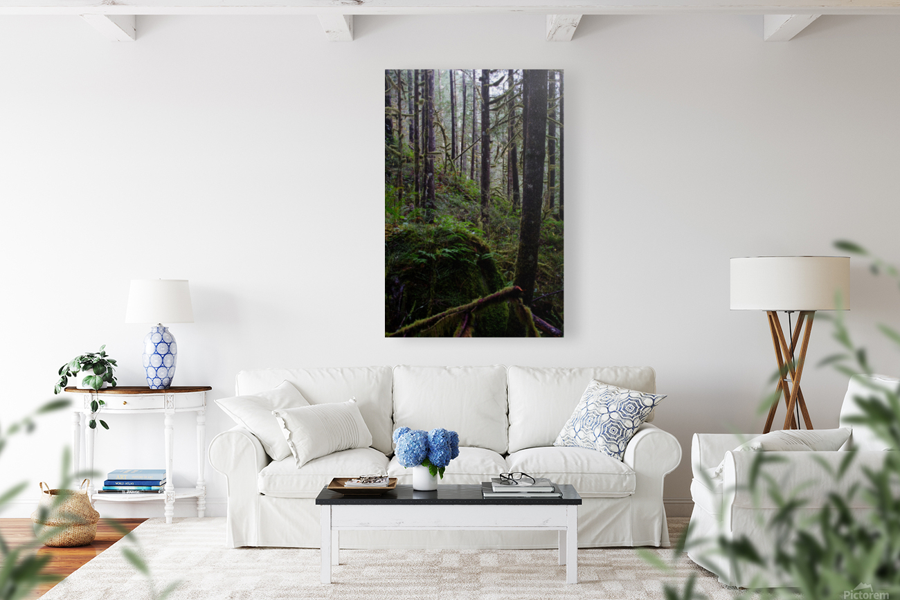 great forest beyond  Reproduction