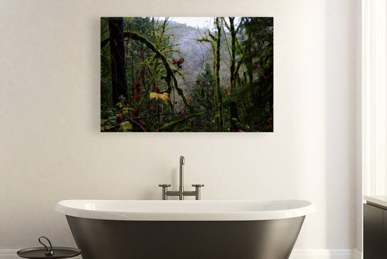 adventure ahead Reproduction