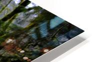 adventure ahead HD Metal print