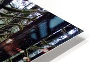 great forest beyond  HD Metal print