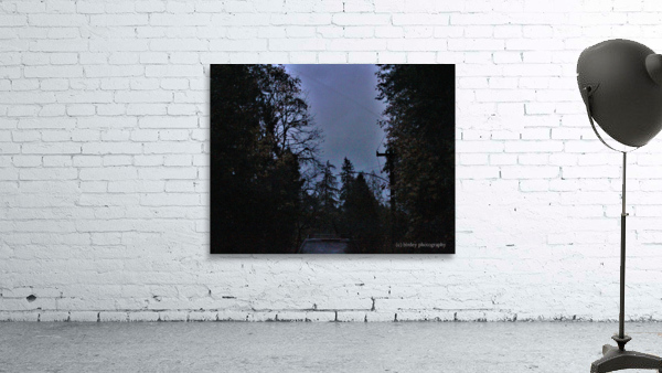 dreary drive  Wall Preview