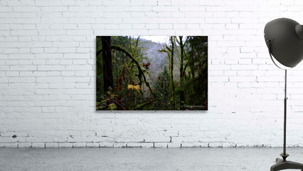 adventure ahead Wall Preview