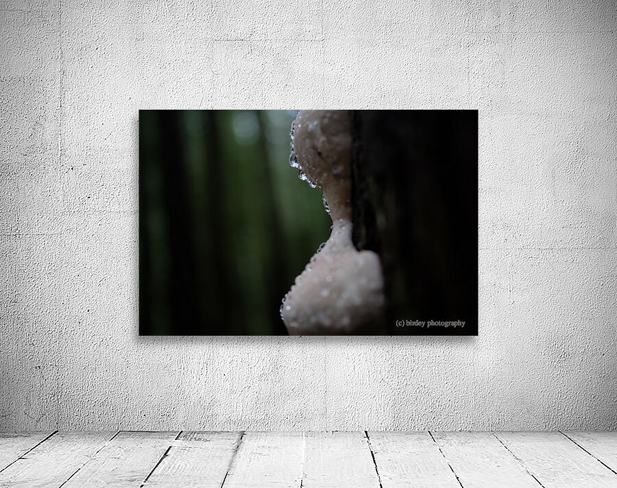 dewy mushroom Wall Preview