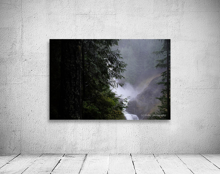 waterfall dreams Wall Preview