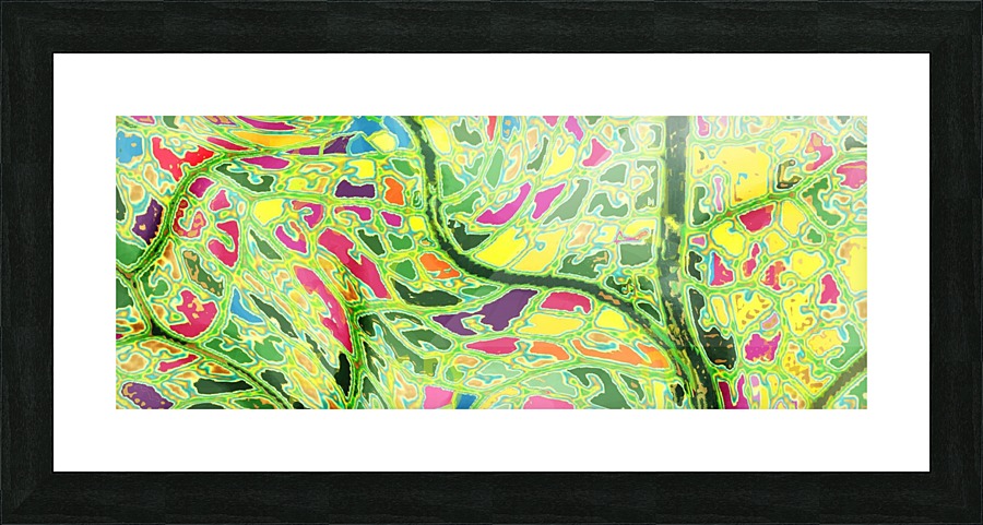 Spring Tree  Picture Frame print