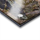 Tree stump Acrylic print