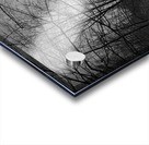 Reflecting Acrylic print