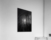 midnight moon Acrylic Print