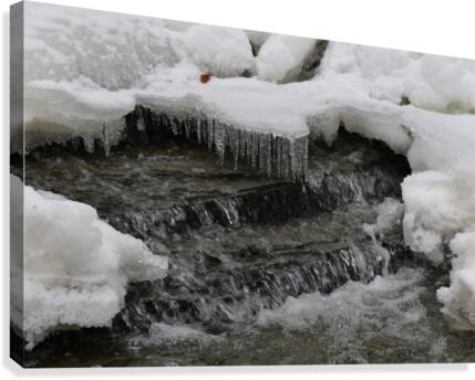 Icy creek Canvas Print