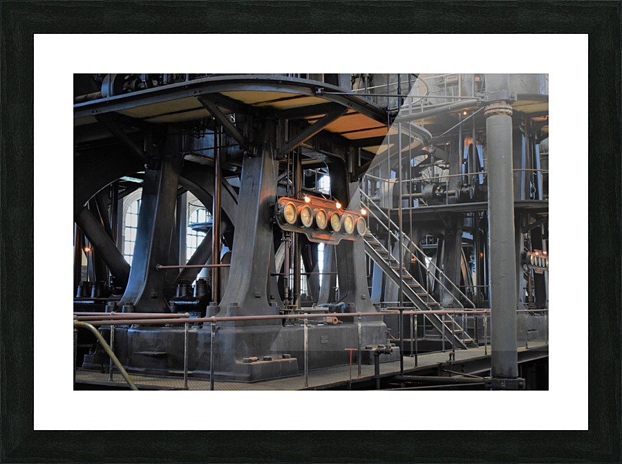 Water plant4 Picture Frame print
