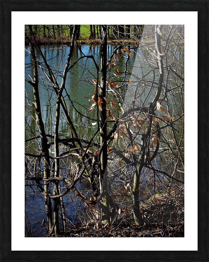 Spring pond Picture Frame print