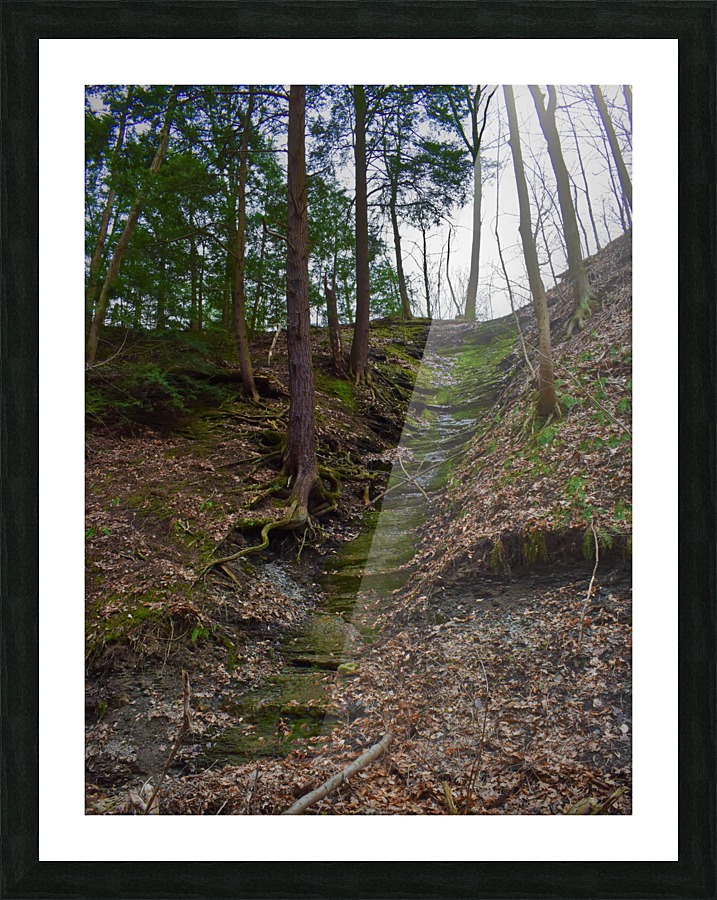 Cliff Picture Frame print