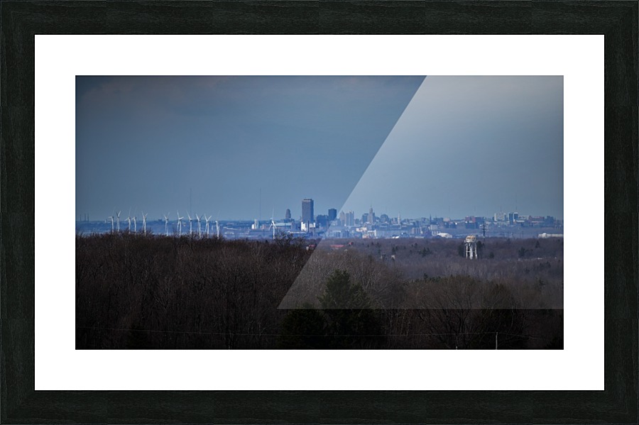 Buffalo Picture Frame print