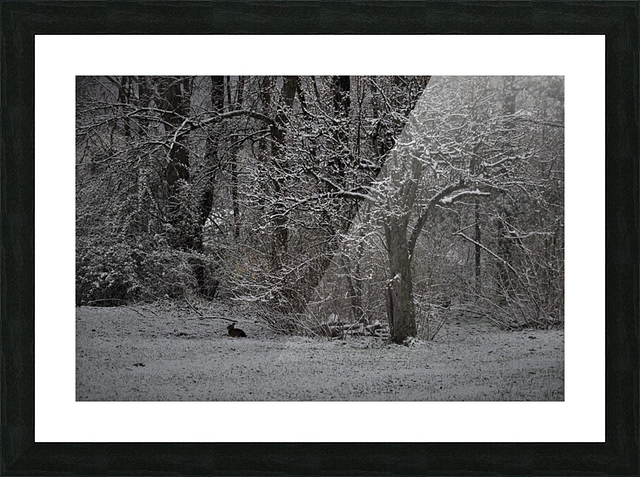 RabbitbyPeartree Picture Frame print