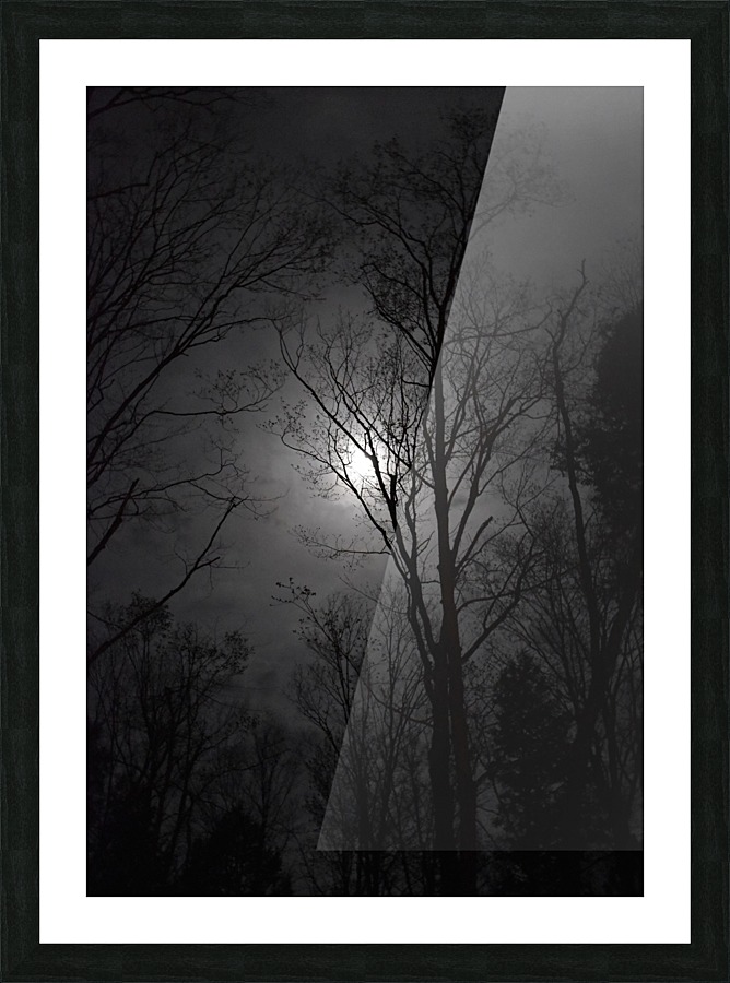 midnight moon Picture Frame print