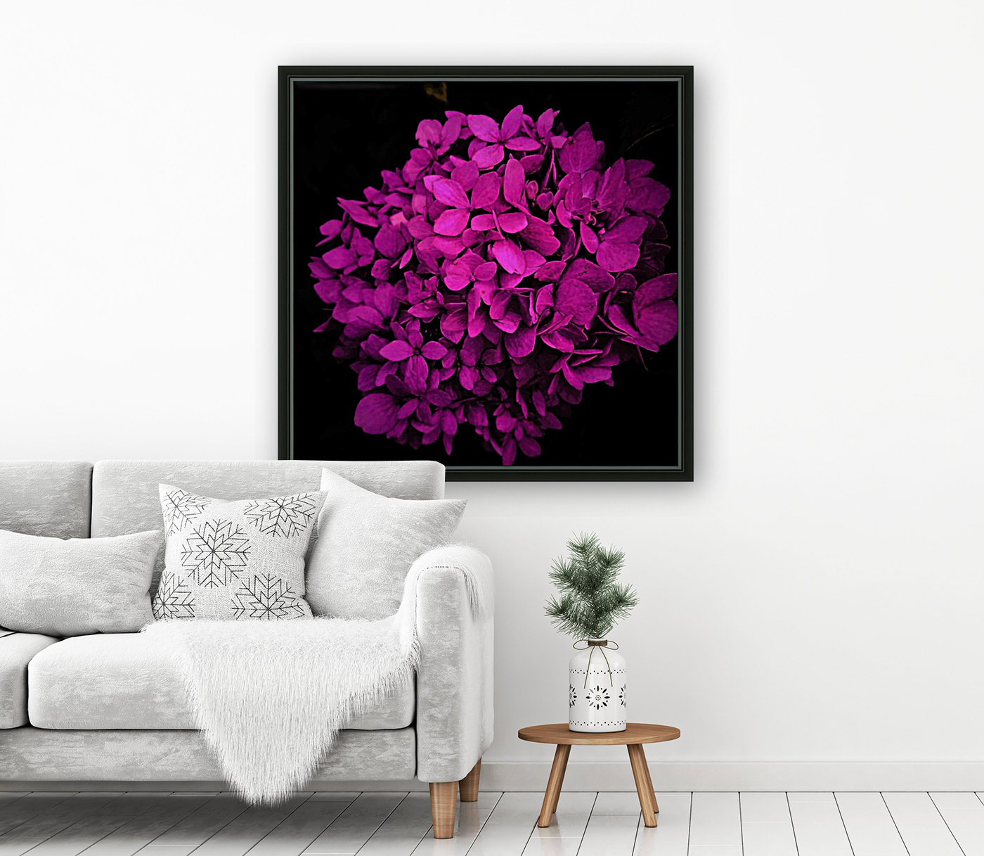 purple hydrangea Reproduction