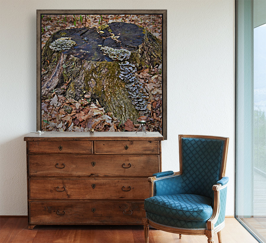 Tree stump Reproduction
