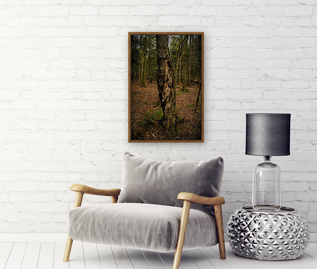 Faces in the woods Reproduction