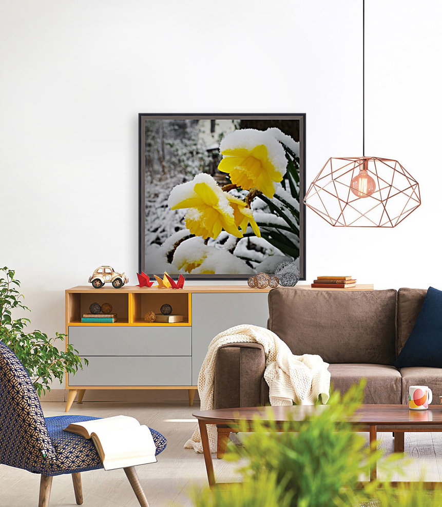 SnowyDaffodils Reproduction