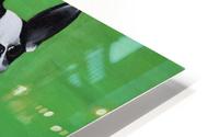jade HD Metal print