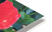 hibiscus HD Metal print