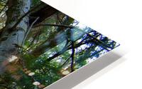 Dancing vines1 HD Metal print
