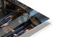 Water plant4 HD Metal print