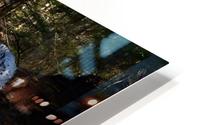 Waterfall3 HD Metal print