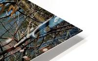 Spring pond HD Metal print