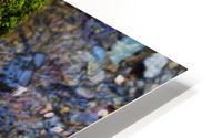 Moss HD Metal print