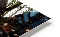 Tall falls HD Metal print